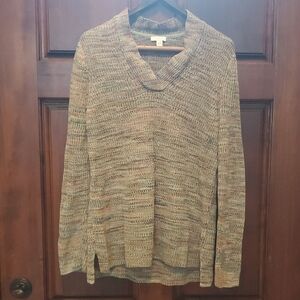 J. Jill Earthy Tones Cowl Neck Sweater